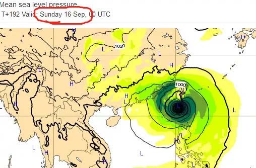 台风“山竹”登陆广东，吹残了花园景观里的生命