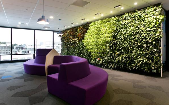 办公室室内垂直植物墙的优势有哪些？